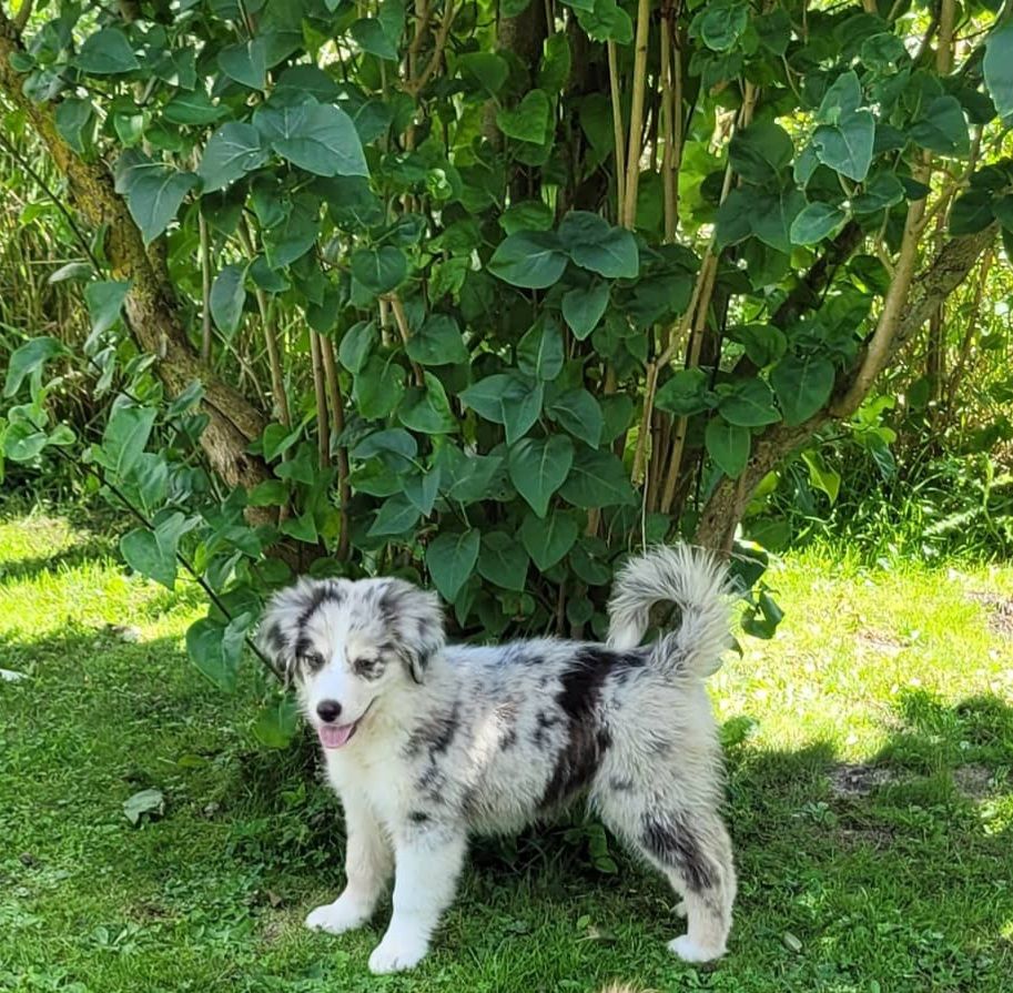 Siberie